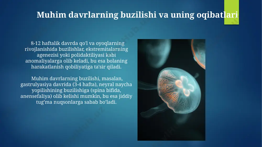 embriogenezda hujayraning differensirlanishi va qaltis davrlar - Page 4