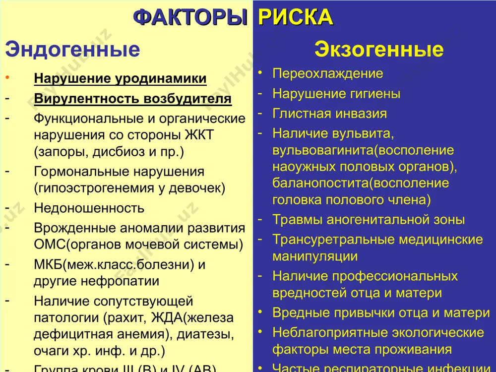 лько при количественном анализе или после провокации неактивная фаза экстраренальных признаков нет, клинико-лабораторная ремиссия * пути инфицирования почки при пиелонефрите восходящий (уриногенный) (возбудители проникают из периуретральной и уретральной областей) гематогенный (чаще у новорожденных, при септицемии, при заболеваниях , протекающих с бактериемией) лимфогенный (ретроградно, при органических и функциональных заболеваниях кишечника) * пути развития пиелонефрита при гематогенном проникновении инфекции инфекция пиелонефрит повреждение перитубулярных каппиляров воспаление интерстиция поражение канальцев проникновение бактерий в просвет канальцев перенос бактерий с током мочи в лоханку рефлюкс проникновение (повторное) в интерстиций переход в интерстиций поражение стенки канальца занос бактерий в тонкую петлю генле поражение капсулы клубочка по с. и. рябову, 2000 клубочек капсула a. afferens a. efferens проксимальный извитой каналец петля генле собирательная трубка * патогенез пиелонефрита пиелонефрит нарушение уродинамики инфекция изменение гормонального фона снижение иммунологической активности по с. и. рябову, 2000 * клиническая картина основные синдромы острого пиелонефрита интоксикация болевой с-м (висцеральных почечных болей) с-м дизурических расстройств …