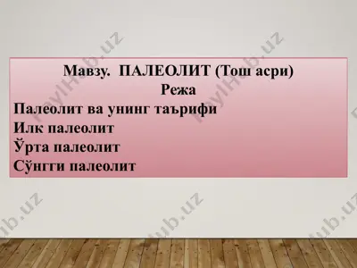 палеолит (тош асри) — PPTX