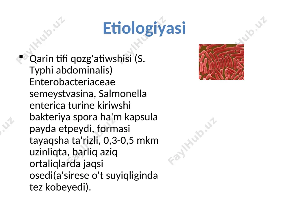 kesellikke beriliwshilik- joqari ma’wsimlilik- jaz- gu’z kesellikten con’ turg’in, o’mirinin’ aqirina shekem immunitet qa’liplesedi. epidemiologiyasi bakteriya tasiwshiliq i. o’tkir bakteriya tasiwshiliq: kesellikten son’ 3 ayg’a shekem bakteriya ajiratiwshi adamlar esaplanadi. ii. xronikaliq bakteriya tasiwshiliq: kesellikten son’ 3 aydan ko’p, ko’binese jillap yamasa pu’tkil o’mir bakteriya ajiratiwshi adamlar iii. tranzitor bakteriya tasiwshiliq: kesellikke beri;meytu’g;in organizm (emlengen, kesellik o’tkergen) ishegine qozg’atiwshi tu’skende gu’zetiledi. xronikaliq bakteriya tasiwshilar tifo-paratifoz keselliklerde ta’biyattag’i jeke rezervuari bolip esaplanadi. patogenezi 8 basqishta o'tedi 1. tif bakteriyalarinin' organizmge kiriwi- awiz_asqazan_jin'ishke ishekke tu'sip, ishektegi limfoid tu'yinler, peyer bilyashkalarina kirip, ko'beyip olarda isiniw protsessin shaqiradi. 2. limfangit, limfaadenit- limfa jollari arqali mezenteral limfa tu'yinlerine o'tiwi, ju'da tez ko'beyip bariwi. 3. bakteremiya- limfa tu'yinlerimdegi bakteriyalardin' qang'a, organ toqimalarg'a o'tiwi.( usi dawirde klinika payda boladi) 4. intoksikatsiya - qang'a tu'sken tif bakyeriyalarinin' limfotsitler ta'repinen nabit etiliwinen, olar tarqalip endotoksin ajiratadi. endotoksin organizmdi za'harlep intoksikatsiya belgileri ju'zege shigadi. 5. parenximatoz diffuz da'wir' organlarda toplanip …
