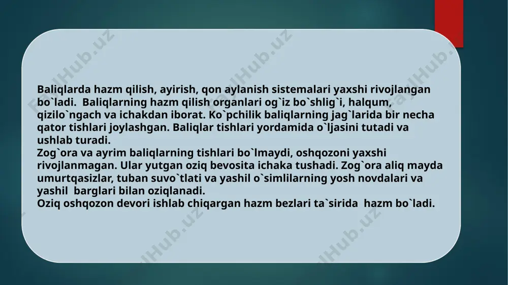 "baliqlarning ichki tuzilishi" - Page 5