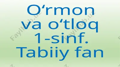 o‘rmon va o‘tloq — PPTX