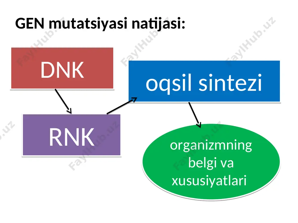 oydan ikkinchi joyga ko‘chishi natijasida organizmning ilgarigi xususiyati saqlanishi yoki o‘zgarishi mumkin. bu o‘z o‘rnini o‘zgartirgan genlarning boshqa o‘z o‘rnida turgan genlar bilan birikishiga va o‘zaro ta’sir ko‘rsatishiga bog‘liq. insersiyalar birikish gruppasidagi genlarning joylashish tartibini meyozda esa xromosomalar konyugatsiyasini o‘zgartiradi. bu esa o‘z navbatida genlarning rekombinatsiyasini kamaytiradi. yuqorida qayd qilib o‘tilgan xromosomalar ichida ro‘y beradigan qayta tuzilishdan tashqari xromosomalararo qayta tuzilish bilan bog‘liq mutatsiyalar ham mavjud bo‘lib, translokatsiya, ya’ni gomologik bo‘lmagan xromosomalar o‘rtasida qismlar almashinishi deyiladi. bu hodisa xromosomalarning uzilishi tufayli ro‘y beradi va genlarning birikish gruppasini o‘zgartiradi. translokatsiya тranslokatsiyani o‘rganish ham nazariy, ham amaliy jihatdan katta ahamiyatga ega. masalan, translokatsiyani o‘rganish orqali ipak qurti urug‘idan qaysi jins rivojlanishini urug‘ning rangiga qarab ajratish mumkin bo‘ldi. genlarning o‘rin almashinishi tufayli hosil bo‘ladigan o‘zgarish genning ta’sir ko‘rsatish kuchi (samarali gen holati) deyiladi. rus olimlari ba’zi bir retsessiv genlar boshqa xromosomalarga o‘tganda dominant xususiyatga ega bo‘lib qolishini va ular oldingi o‘rniga qaytarilganda retsessivlik …