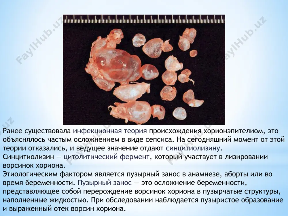 ie 3 mesyatsa v techenie 1 goda. spasibo za vnimanie! image1.png image2.png image3.jpeg image4.png image5.png image6.png image7.png image8.png image9.png pechat /docprops/thumbnail.jpeg