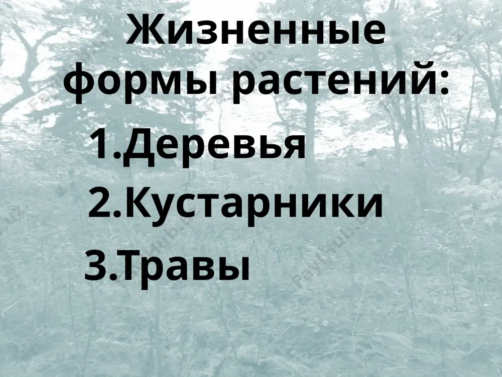 ( ответ «нет» - 0 баллов; ответ «да» - 1 балл; на 5 и 6 вопросы дать полный ответ) задание на дом изучить §18 выполнить задания и ответить на вопрос после параграфа оформить лабораторную работу в тетради список литературы: 1. пасечник в.в. биология. 6 класс. бактерии, грибы, растения: учеб. для общеобразоват. учреждений. – м.: дрофа, 2009. 2. http://www.aif.by/media/k2/items/cache/ba464df163b871bb5ef08be3c3f6039f_xl.jpg 3. http://img-fotki.yandex.ru/get/5907/vladinteres.1b/0_52dc1_2602ddcc_xl 4. http://900igr.net/datai/biologija/vysshie-sporovye-rastenija/0009-010-generativnye-organy.png 5. http://900igr.net/fotografii/biologija/vysshie-sporovye-rastenija/011-generativnye-organy.html 6. http://900igr.net/fotografii/biologija/vysshie-sporovye-rastenija/012-generativnye-organy.html 7. http://vertograd-s.com/wp-content/uploads/2009/07/lodoicea-maldivica-seed-460x218.jpg 8. http://dic.academic.ru/pictures/wiki/files/50/341fc9c7e0bc2f65a3a0a1d10f860610.jpg 9. http://img-fotki.yandex.ru/get/5305/val-pavlovna.16f/0_76ee9_915ddf5a_l 10. http://www.aferzone.com/files/catalog/bf39d3f.jpg 11. http://www.cambridge2000.com/gallery/images/p6027018.jpg 12.http://www.1semena.ru/published/publicdata/shopdb/attachments/sc/products_pictures/70.2961_enl.jpg 13. http://www.agroint.ru/images/seed/lupinus/seed_lupinus_2_h_orig.jpeg 14. http://belgorod.1gs.ru/img/belgr_b_11073.jpg 15. http://ru.all.biz/img/ru/catalog/653907.jpeg 16. http://www.agroint.ru/images/seed/dill/seed_dill_3_h_orig.jpeg 17. http://img-fotki.yandex.ru/get/4312/annusya74.c/0_24770_38e98d23_xl 18. http://otvetin.ru/uploads/posts/1294741861_1.jpeg 19. http://img.board.com.ua/a/1043494000/wm/4-tmin-zerno-v-s-molotyij-egipet.jpg список литературы: 20. http://pus.at.ua/flax-seed_1.jpg 21. http://totalbeautyglamour.ru/images/pages/fill/h600/48c41b5426954c30e80e1b8024c84c5a.jpg 22. http://stat18.privet.ru/lr/0a121f508146f329164c2eb5731f7a1a 23. http://www.krugosvet.ru/images/1000062_ph02615.jpg 24. http://www.agroru.com/up
