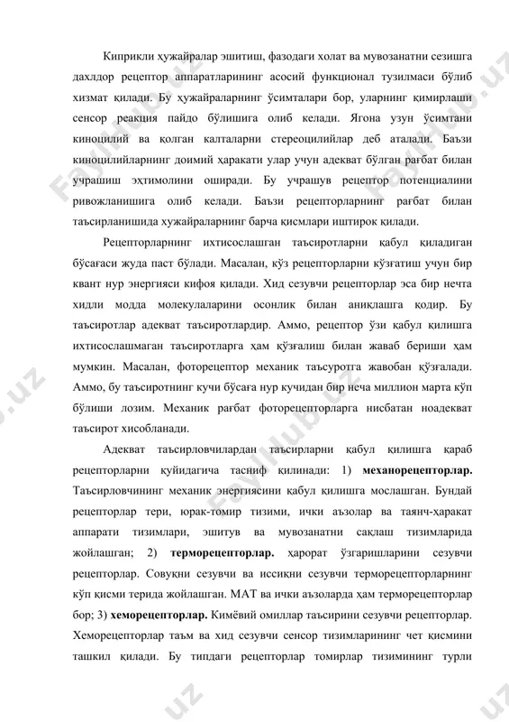 ини ташкил қилади. бу типдаги рецепторлар томирлар тизимининг турли қисмларида ва айрим тўқималарда ҳам жойлашган. 4) фоторецепторлар. нур энергиясини қабул қилишга мослашган рецепторлар. фоторецепторлар ёруғлик кучини ажратиш ва ранг кўришга ихтисослашган; 5) ноцицептив рецепторлар. оғриқни пайдо қилувчи таъсиротларни қабул қилишга мослашган. бу сезги организмдаги рецепторларнинг деярли ҳаммасига ўта кучли таъсир кўрсатганда пайдо бўлади. айрим рецепторларда таъсирловчи энергиясининг асаб импульсига айланиши шу рецептор ҳужайра ўсимтасида содир бўлади. бу бирламчи рецептор сенсор нейроннинг перифериядаги ўзгарган дендритидир. аксони эса мат га ўтади. хид сезиш, тактил ва проприорецепторлар бирламчи рецепторларни ташкил этади. иккиламчи рецептор ва сенсор нейрон ўсимталари ўртасида синапслар жойлашган. рецептор ҳужайрада ҳосил бўладиган қўзғалиш бу синапслар орқали сенсор нейронларга ўтказилади. демак, сенсор нейронни ташқи таъсирот бевосита эмас, балки таъм сезув, вестибулияр аппарат рецепторлари иккиламчи рецепторлар хисобланади. таъсирловчилар рецептор хужайра мембранасининг баъзи бир ионлар учун ўтказувчанлигини ўзгартиради. мембрана орқали натрий ва кальций ионларнинг ичкарига қаратилган оқими рецептор потенциали ривожланишига олиб келади. бирламчи рецепторларда …