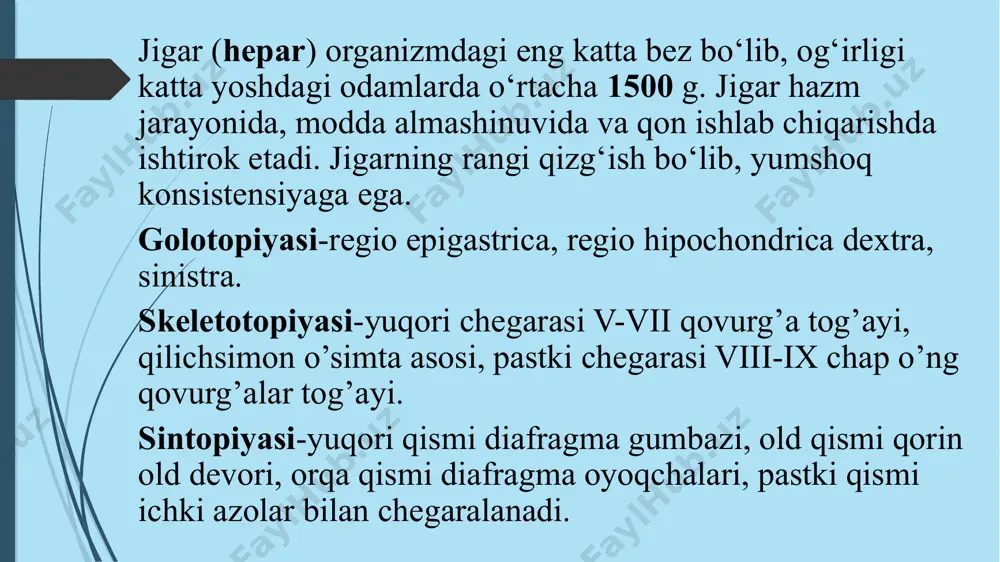 finkter oddi)-duodenum(pars descendens). oshqozon osti bezi (pancreas) hazm bezlari ichida kattaligi jihatidan ikkinchi o‘rinda turadi. oshqozon osti bezining uzunligi 14-18 sm, kengligi 3 - 9 sm, qalinligi 2 - 3 sm, og‘irligi katta yoshdagi odamlarda o‘rtacha 80 g bo‘ladi. u faoliyat jihatidan aralash, tuzilishi jihatidan murakkab alveolar - naysimon bez hisoblanadi. golotopiya-regio epigastrica et regio hypochondrica sinistra skletotopiya- oshqozonning orqasida i—ii bel umurtqalari sohasida ko‘ndalang yotadi. sintopiya-bosh qismini 12 barmoqli ichak o’rab turadi, tanasining oldingi yuzasida oshqozon tanasi va pilorik qismi joylashgan, tanasining orqa yuzasida diafragmaning bel qismi, darvoza vena, ductus choledochus, qorin aortasi,pastki kovak vena dum qismi-chap buyrak va buyrak usti bezi, taloq bilan chegaralangan. makroskopik anatomiyasi. pancreas qismlari: caput pancreas-bosh qismi corpus pancreas-tana qismi cauda pancreas-dum qismi yuzalari: facies anteriosuperior-oldingi yuqori yuzasi facies anterioinferior-oldingi pastki yuzasi facies posterior-orqa yuzasi qirralari: margo superior-yuqori qirrasi margo anterior-oldingi qirrasi margo inferior-pastki qirrasi demak eslab qolamiz: 3:3:3 mikroskopik tuzilishi: aralash bez bo’lib …