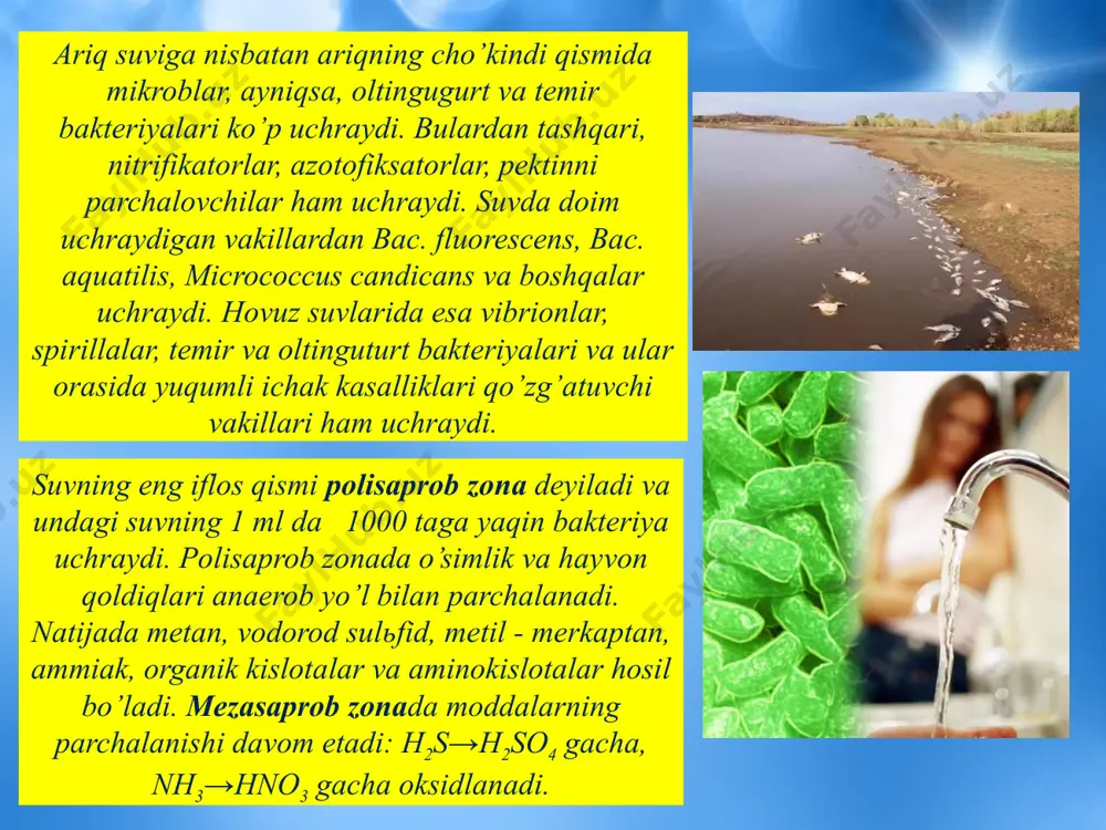 biosfera va mikroorganizmlar ekologiyasi - Page 4