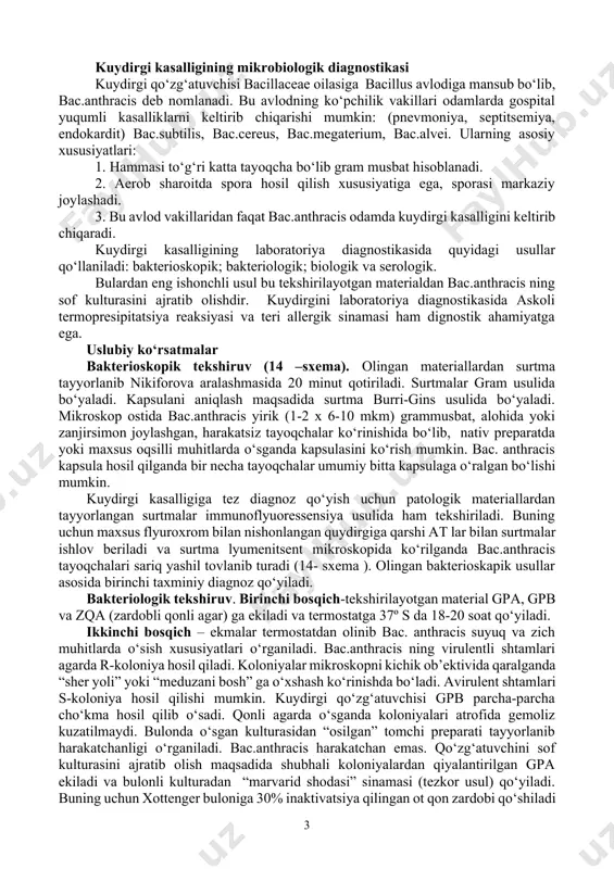 hracis yirik (1-2 x 6-10 mkm) grammusbat, alohida yoki zanjirsimon joylashgan, harakatsiz tayoqchalar ko‘rinishida bo‘lib, nativ preparatda yoki maxsus oqsilli muhitlarda o‘sganda kapsulasini ko‘rish mumkin. bac. anthracis kapsula hosil qilganda bir necha tayoqchalar umumiy bitta kapsulaga o‘ralgan bo‘lishi mumkin. kuydirgi kasalligiga tez diagnoz qo‘yish uchun patologik materiallardan tayyorlangan surtmalar immunoflyuoressensiya usulida ham tekshiriladi. buning uchun maxsus flyuroxrom bilan nishonlangan quydirgiga qarshi at lar bilan surtmalar ishlov beriladi va surtma lyumenitsent mikroskopida ko‘rilganda bac.anthracis tayoqchalari sariq yashil tovlanib turadi (14- sxema ). olingan bakterioskapik usullar asosida birinchi taxminiy diagnoz qo‘yiladi. bakteriologik tekshiruv. birinchi bosqich-tekshirilayotgan material gpa, gpb va zqa (zardobli qonli agar) ga ekiladi va termostatga 37º s da 18-20 soat qo‘yiladi. ikkinchi bosqich – ekmalar termostatdan olinib bac. anthracis suyuq va zich muhitlarda o‘sish xususiyatlari o‘rganiladi. bac.anthracis ning virulentli shtamlari agarda r-koloniya hosil qiladi. koloniyalar mikroskopni kichik ob’ektivida qaralganda “sher yoli” yoki “meduzani bosh” ga o‘xshash ko‘rinishda bo‘ladi. avirulent shtamlari …