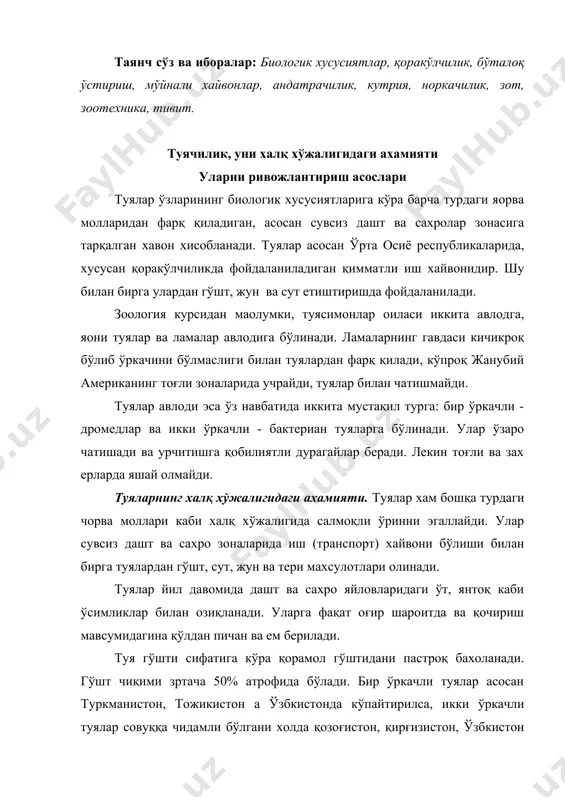 maniston, tojikiston a o'zbkistonda ko'paytirilsa, ikki o'rkachli tuyalar sovuqqa chidamli bo'lgani xolda qozog'iston, qirg'iziston, o'zbkiston (shimolida), qalmiq va tuvada xamda volgorad, astraxanp, chita oblastlarida ko'paytiriladi. bunday tuyalar uchta zot (qalmiq, qozoqi va mo'g'ul) ga mansub xayvon xisoblanadi. ularning ichida yirik vaznliligi qalmiq zoti xisoblanib, erkaklari 770 kg, urg'ochilari 680 kg atrofida bo'ladi. bir o'rkachli tuyalardan 1000 kg gacha yog'dorligi 4,5% bo'lgan sut sog'ib olinadi. ikki o'rkachli vakillaridan esa yog'dorligi 5,4% bo'lgan sutdan 750 kg gacha olinadi. ikki o'rkachli tuyalardan yiliga 5-10 kg, bir o'rkachlilardan 2-4 kg jun qirqib olish mumkin. lekin, sifatiga ko'ra ikki o'rkachli tuyalar junining tarkibida deyarli 85% tivit bo'lganligidan ular qimmatroq baxolanadi. undan turli xil junli kiyimlar, trikotaj, odeyallar tayyorlanadi. shuningdek, sifatli jun paypoq, qo'lqop va ro'mollar ishlab chiqariladi. erkak tuyalar urg'ochilariga qaraganda ko'proq jun beradi. tuchlar vazniga qarab 200-300 kg ortilgan yuk bilan, soatiga 4,5 km tezlikda, sutkasiga 35 km yo'l bosa oladi. ayrim xollarda ularni …
