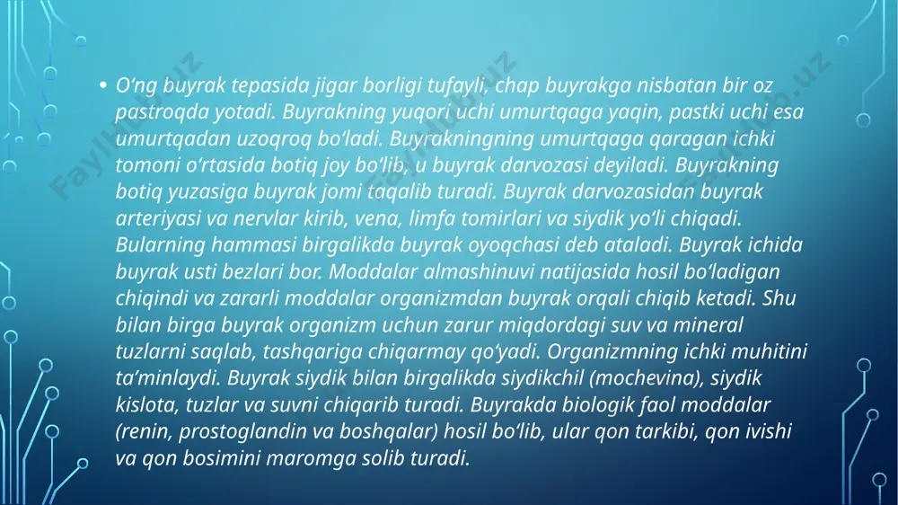 buyrak - Page 4