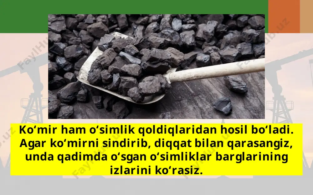 yer toshqobig‘ining boyliklari 5 -sinf - Page 5