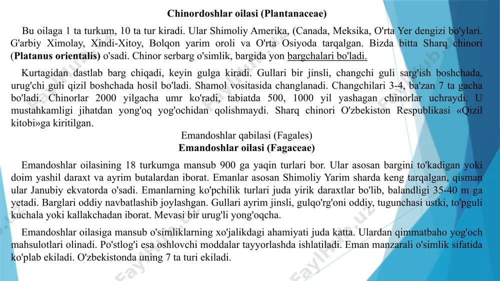 ro tutashganligi xos, binafshanamolar (violates) qabilalari uchun gullarining tsiklik tuzilishi, tojbarglari erkin hamda tuguncha ustki kabi xususiyatlar saqlangan. gulxayrinamolar (malvales) qabilasi vakillarida gullari tsiklik changchilar soni ko'p bo'lib, ular o'zaro qo'shilib, nay hosil qiladi hamda urug'chini o'rab turadi. ushbu qabilaga sutlamanamolar (euphorbiales) qabilasi yaqin kichik ajdodga kapersnamolar (capparales) qabilasi ham kirib, uning karamdoshlar (brassicaceae) va toldoshlar (salicaceae) kabi yirik oilalari ma’lum. choynamolar qabilasi (theales) dalachoydoshlar oilasi (clusiaceae, hypericaceae) bu oila 9 turkum, 400 dan ortiq turga ega. bu turlami asosan tropik va subtropik xududlarda uchratish mumkin. o'zbekistonda 3 turi o'sadi. bu oila ichida eng rnuhimi dalachoy (hyperium) turkumi hisoblanadi. o'rta osiyoda uning 2 turi (hyperium perforatum, h. scabrum) keng tarqalgan. barglari oddiy, nashtarsimon, qarama-qarshi joylashgan. gullari ikki jinsli, aktinomorf, gulkosacha bargi beshta qo'shilib o'sgan. gultojibargi 5 ta erkin joylashgan. changchilari cheksiz, urug'chisi 3 ta, mevachi bargning qo'shilib o'sishidan hosil bo'lgan. mevasi ko'sakcha. dalachoyning barcha turlari ham dorivorlik xususiyatiga ega. l- …