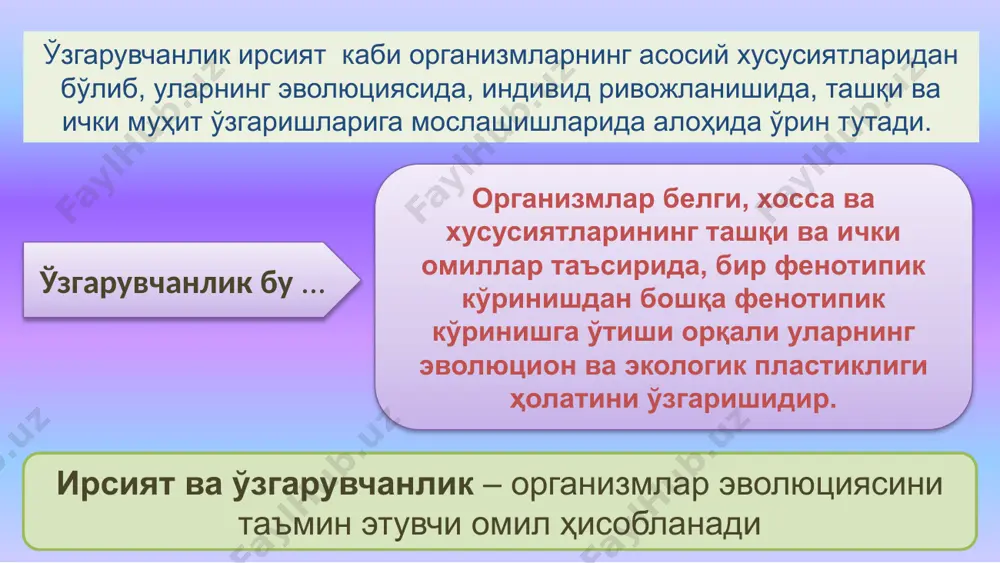 иқиши сабаби ва табиатига кўра бошқа ирсий ўзгурувчанликдан фарқ қилади. организм генотипининг тўсатдан кескин ўзгаришини мутация деб фанга де фриз киритди. бевосита ташқи ва ички мутаген омиллар генотипига таъсири ҳисобига вужудга келади. мутацион назария де фриз томонидан яратилган, унинг асосий моҳияти қуйидагилар: мутациялар тўсатдан пайдо бўлади янги мутациялар турғун ирсий ўзгарувчан ликдир ирсий бўлмаган ўзгаришдан фарқли ўлароқ, мутациялар узликсиз қатор ҳосил қилмайди мутациялар ҳар хил йўналишлада кетади. мутациялар фойдали ва зарарли бўлади мутацияларни аниқлаш эҳтимоли текширилаётган индивидлар сонига боғлиқ мутацияларнинг янги вариантлари кескин ўзгаришларни тўсатдан пайдо бўлиши юзага чиқади. ўхшаш мутациялар бир неча марта пайдо бўлиши мумкин. мутацияларнинг классификацияси - хиллари геном ўзгаришининг характери бўйича: 1. геном мутациялари 2. хромосома мутациялари 3. ген мутациялари фенотипда юзага чиқишига қараб биокимёвий, морфологик, физиологик, этологик ... мутацияларнинг келиб чиқиш сабабларига кўра: 1. спонтан мутациялар, яъни мутацияни келтириб чиқарувчи сабаб аниқ эмас (ўз-ўзидан пайдо бўладиган мутациялар). 2. индуцирланган мутациялар (келтириб чиқарилган мутациялар). ҳужайрада жойлашиши …