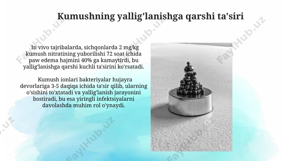 membranasining buzilishiga olib keladi. kumushning biologik faolligi nima? kumushning 1-100 ng/ml konsentratsiyalari bakteriyalar, masalan, escherichia coli va staphylococcus aureus kabi gram-musbat va gram-manfiy bakteriyalarning o'sishini sezilarli darajada inhibe qilishi isbotlangan. bu esa, o'zbekistonning shifoxonalarida infektsiyalarni oldini olishda qo'llanilishi mumkin. 2018 yilda nashr etilgan tadqiqotlar, kumush nanomateriallarining antiviral xususiyatlarini, xususan, gripp virusiga qarshi faolligi haqida xabar bergan, bu esa, dunyo bo'ylab, shu jumladan, toshkentda ham, virusli infektsiyalarni davolashda yangi yo'nalishlarni ochishi mumkin. e'tiboringiz uchun rahmat @taqdimot_robot image2.jpg image3.jpg image4.jpg image5.jpg image6.jpg image7.jpg image8.jpg image9.jpg image10.jpg image1.png
