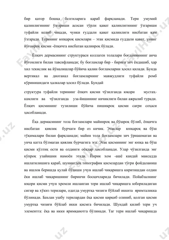манинг ёндош толаларидан бирига туташиб кетган. ушбу мускул қисқариб, соч халтачасининг қиялик бурчагини ўзгартириши мумкин, бунинг оқибатида соч қопламида иссиқликни ўраб турувчи ҳаво қаватлари ўзгаради. баъзи ҳайвонларнинг асабдан қўзғалиши натижасида мушак толалари қисқаради ва сочлари тикка кўтарилади. соч халтачасини икки йўналишда: ички – ҳалқа бўйлаб, ташқи – халтача бўйлаб жойлашган, бирикувчи тўқиманинг зич ётқизилган майин толалари ташкил қилади. соч халтачаси атрофида жойлашган эластин ва ретикулин толалари, кўзга кўринмайдиган чегарадан дермага ўтиб кетадиган коллаген толалари ҳосил қилган тўрни ўраб туради. энг қуйи қисмида соч халтачаси бирикувчи тўқималардан – ғуддаларни ҳосил қилади. ғуддаларда қон ва лимфа томирларининг кўп миқдорда бўлиши, шунингдек кўп сонли ҳужайра элементлари ва нерв тўқималарининг борлиги туфайли, улар соч ҳужайраларини озиқлантирувчи асосий артерия ҳисобланади. соч ғуддада туғилади ва ўсиб борган сайин соч канали орқали ташқарига чиқади. соч узунлиги бўйича уч қисмга: ўқ – ташқи қисм, илдиз – соч халтачасида ўқнинг давоми ва жун пиёзчасига бўлинади. жун пиёзчаси илдизнинг қалинлашган …