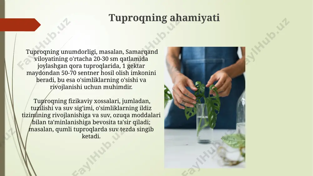larda esa, suv stressini keltirib chiqarishi mumkin, masalan, samarqand viloyatidagi paxtazorlarda. oʻsimlik jamoalari oʻzbekistonning qoraqalpogʻiston respublikasidagi qumli choʻllarda 5 ga yaqin turdagi halofit oʻsimliklarining birgalikda yashaydigan jamoalari uchraydi, ular tuproqning yuqori shoʻrlanish darajasiga moslashgan. togʻli hududlarda, masalan, fargʻona vodiysidagi 2000 metr balandliklarda, oʻsimlik jamoalari balandlik zonalari boʻyicha joylashgan boʻlib, har bir zona oʻziga xos 7-12 ta oʻsimlik turi bilan tavsiflanadi. haroratning taʼsiri shimolda joylashgan taiga o'rmonlarida, -40°c gacha bo'lgan past haroratlarda, daraxtlarning o'sishi sekinlashadi va fotosintez jarayoni faqat 5-10% samaradorlik bilan amalga oshadi. tropik o'rmonlarda, 25-30°c oralig'idagi optimal haroratda biomasa yig'ilishi maksimal darajaga yetadi, lekin amazon o'rmonlarida 35°c dan yuqori harorat o'simliklarning stressga tushib qolishiga olib keladi. oʻsimlik populyatsiyalari oʻsimlik populyatsiyasi zichligi, masalan, 1 gektar maydonda 500 dan ortiq qaragʻay daraxtlarining mavjudligi, qoraqalpogʻistonning qumli yerlarida kuzatiladigan muhim ekologik omil hisoblanadi. togʻli hududlarda, xususan, olay togʻlarida, balandlikka koʻra oʻsimlik populyatsiyasining 3 ta aniq zonalashuvi (pastki, oʻrta va yuqori) kuzatiladi, har bir …