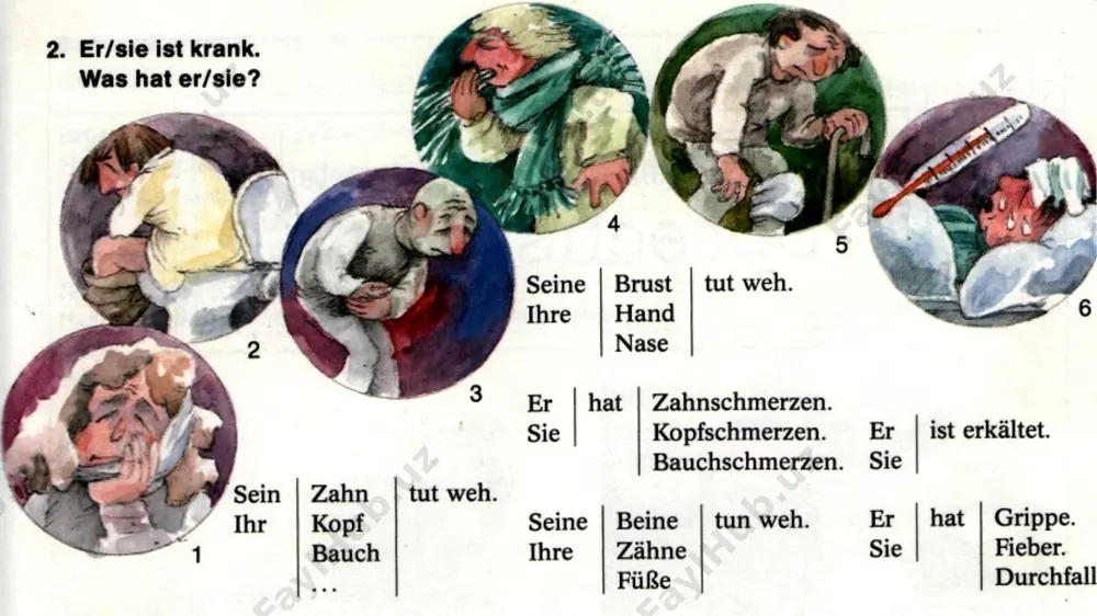 übung 6. welcher körperteil ist das? - Page 4