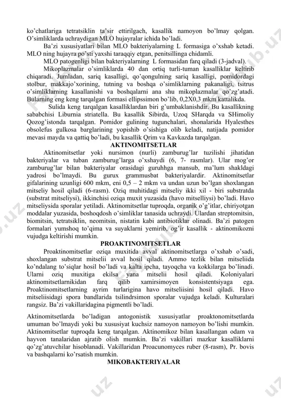 alardan hujayra devori yo’qligi bilan farqlanadi. ko’pincha harakatsiz, sporalar hosil qilmaydi, bakteriologik filtrlardan o’tib ketadi (0,1 - 0,2 mkm va undan kichik). mikoplazmalar orasida saprofit va parazit formalari bor. hayvonlarda turli - tuman kasalliklarni vujudga keltiradi. ularni 10 - 20% ot qonining zardobi qo’shilgan qattiq oziq muhitlarida o’stirish mumkin. suyuq oziq muhitlarda mikoplamalar kokkisimon, yulduzsimon, disksimon, ipsimon va boshqa shaklli bo’lib, qattiq oziq muhitlarda esa o’rtasi qora mayda koloniyalarni hosil qiladi. bergi mikoplazmalarni prokariotlar olamining mikoplazmalar bo’limiga ajratadi. mikoplazmalarga bakteriyalarning l-shakllilariga yaqin turadi. bu bakteriyalarni tajriba yo’li bilan ham olish mumkin, buning uchun bakteriyalarga pentsillin bilan ta’sir etiladi. mikoplazmalar ichida yaxshi o’rganilgani erkin holda hayot ke-chiradigan mycoplasma laidlawu dir. g. morovin va m. turtelen(1964) ularni elektron mikroskopda ko’rib, to’rt xil hujayrasi: 1) elementar tanasi; 2) oraliq hujayralar; 3) yirik hujayralar; 4) ichida elementar tanasi bo’lgan yirik hujayralar borligini aniqlaydilar. mikoplazmalar odamda va boshqa umurtqalilar orasida keng tarqalgan. mikoplazmalarning o’ziga xos …