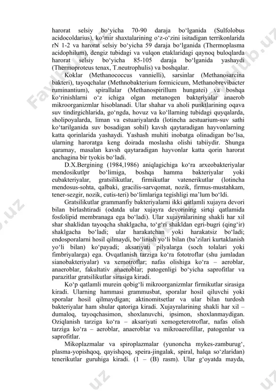 bakteriyalar fototrof bakteriyalar hisoblanadi; grammusbat va grammanfiy bakteriyalar hamda batsillalar, miksobakteriyalar, poyali va kurtaklanuvchi bakteriyalar, vibrionlar, spirallalar, spiroxedlar, aktinomitsetlar, korinebakteriyalar, mikobakteriyalar, rikketsiyalar, xlamidiyalar, mikoplazmalar va spiroplazmalar – xemotrof bakteriyalar hisoblanadi. galobakteriyalar haloarcula, halobacterium, halococcus, natrobakterium, natrococcus oilalarini o‘z ichiga oladi. ular dengiz tuz konlarida bo‘ladi (ular uchun natriy xloridning eng mo‘tadil miqdori 3,5-5m). termoatsidofil bakteriyalar nordon issiq buloqlarda rn 2-3 va harorat selsiy bo‘yicha 70-90 daraja bo‘lganida (sulfolobus acidocoldarius), ko‘mir shaxtalarining o‘z-o‘zini isitadigan terrikonlarida rn 1-2 va harorat selsiy bo‘yicha 59 daraja bo‘lganida (thermoplasma acidophilum), dengiz tubidagi va vulqon etaklaridagi qaynoq buloqlarda harorat selsiy bo‘yicha 85-105 daraja bo‘lganida yashaydi (thermoproteus tenax, t.neutrophulis) va boshqalar. koklar (methanococcus vannielli), sarsinlar (methanosarcina bakteri), tayoqchalar (methnobakterium formicicum, methanobrevibacter ruminantium), spirallalar (methanospirillum hungatei) va boshqa ko‘rinishlarni o‘z ichiga olgan metanogen bakteriyalar anaerob mikroorganizmlar hisoblanadi. ular shahar va aholi punktlarining oqava suv tindirgichlarida, go‘ngda, hovuz va ko‘llarning tubidagi quyqalarda, sholipoyalarda, liman va estuariyalarda (lotincha aestuarium-suv sathi …