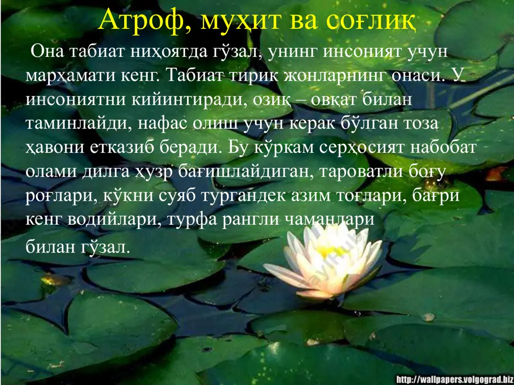 оқ яшайдиган кўркам мўжизаси. ўрмон энг қиммат баҳо моддий ресурслар манбаи. ( 20000 минг хил кимёвий моддаларни беради) атроф, муҳит ва соғлиқ ҳайвонлар табиатда табиий воситаларнинг мувозанатини сақлаб туришда хизмат қилади. ҳайвонларнинг ўзига хос фойдали хусусиятлари мавжуд жумладан: улардан доривор воситалар – озиқ - овқат маҳсулотлари, мўйналар, жунлар олинади. “қизил китоб” га 79 та балиқ тури, 3 та амфибий, 57 та судралувчилар, 410 тур қушлар ва 99 та сут эмизувчилар киритилган. атроф, муҳит ва соғлиқ “йиғиштириб турилган жой эмас, ифлослантирилмаган жой тоза” “биз ҳеч қачон қудуқдаги сув қуримагунча, сувнинг баҳоси қанчалигини билмаймиз” (инглиз мақоли) “табиатнинг ҳам сабр – тоқат чегараси бор, инсонларнинг шавқатсизликлари меъёридан ошганда, у қасос олишни бошлайди” . (махатма ганди) табиатни асраб авайлаш ҳар биримизнинг бурчимиздир. эътиборингиз учун раҳмат ! image1.jpeg image2.jpeg image3.jpeg image4.jpeg image5.jpeg image6.jpeg image7.jpeg image8.jpeg image9.jpeg image10.jpeg image11.jpeg image12.jpeg image13.jpeg image14.jpeg image15.jpeg image16.jpeg image17.jpeg image18.jpeg image19.jpeg image20.jpeg image21.jpeg image22.jpeg image23.jpeg image24.jpeg