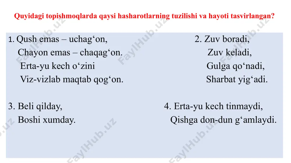 olish mumkin? (bir guruhda 1200 ta qurt rivojlanadi deb hisoblansin) 1) 1200 : 2 = 600 tadan erkak♂ va urg’ochi♀ ipak qurtlari; 2) urg‘ochi♀ 600 x 1000 = 600 000 metr 600 000 _________________100% x __________________50% x = = 300 000 4) erkak ♂ 600 000 + 300 000 = 900 000 metr 1500 000 metr ipak yangi mavzu: ikkiqanotlilar turkumi ularning oldingi ikki juft qanotlari yaxshi rivojlangan; keying qanotlaridan faqat kalta o‘simtalari saqlanib qolgan. hasharotlar uchganda bu kalta o‘simta havoda tebranib, ovoz chiqaradi. o‘simta havoda uchayotgan hasharot uchun muvozanat saqlash organi hisoblanadi. ikkiqanotlilarning 150 000 ga yaqin turi ma’lum. ulardan pashshalar, so‘nalar, bo‘kalar keng tarqalgan. chivin bo‘ka so‘na iskaptopar uy pashshasi uy pashshasi juda harakatchan hasharot. tanasi mayda tukchalar bilan qoplangan. pastki labining uchi qalinlashib, yostiqchasimon yalovchi xartumcha hosil qiladi. pashsha oziq-ovqat mahsulotlarini xartumchasi bilan yalab oziqlanadi. oziq ta’mini oldingi oyoqlari panjasida joylashgan tukchalar yordamida sezadi. pashshaning qurti axlatlar, …