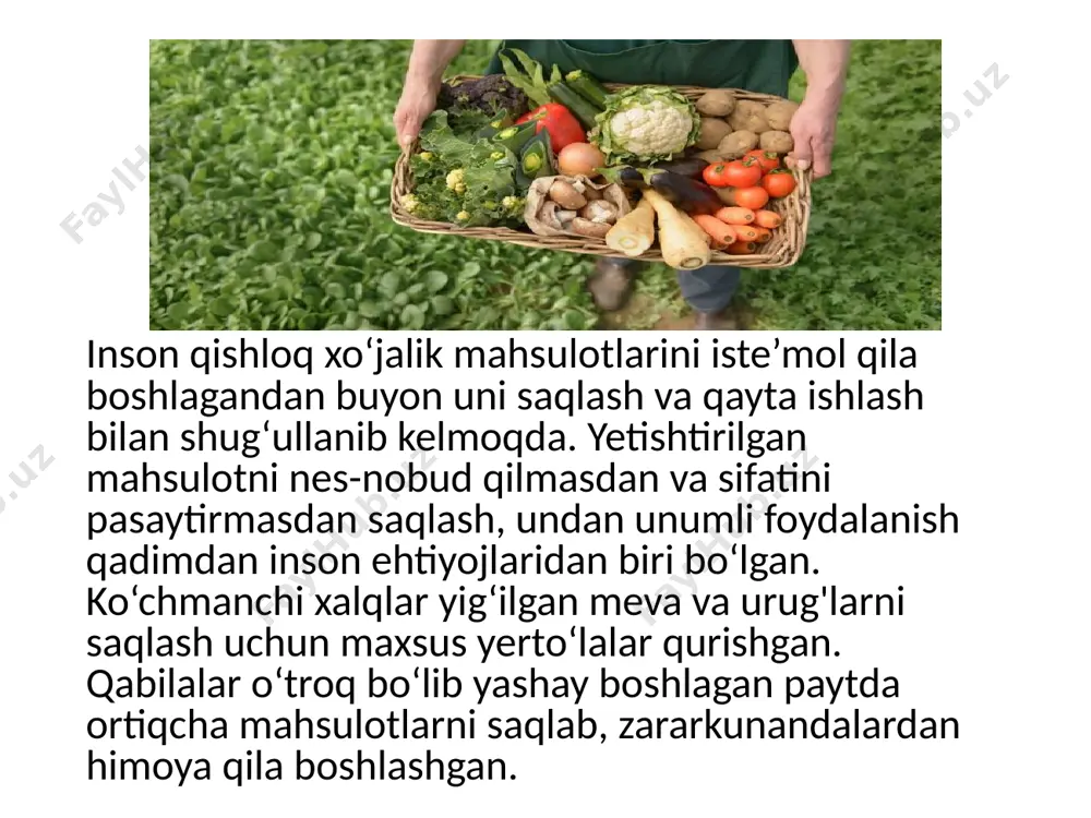 h mashinalaridan foydalaniladi. masalan, pomidor, baqlajon, qalampir, kabachkilar elevatorli va ventilatorli yuvish mashinalarida yuviladi va transportyorda inspeksiyalanadi. meva va sabzavotlarni tozalash ularning fiziologik xususiyatlariga va qayta ishlash maqsadiga ko‘ra turli usulda tozalanadi. masalan, ko‘k no‘xatni aralashmalardan tozalash tebranadigan elaklash sistemasi bilan jihozlangan donni tozalash separatorlarida amalga oshiriladi. tuganakli va ildizmevalilar po‘stlog‘idan mexanik usulda, qirg‘ichli yuzaga ega mashinalarda; termik usulda-bug‘ va issiqlik (bosimi 0,3- 0,5 mpa, 140-180 °c haroratda) ta’sirida; kimyoviy usulda-mevalar yuzasiga issiq ishqor eritmasi (7-12% li eritma, 90-95 °c haroratda, 5-6 minut davomida) ta’sirida tozalanadi.tozalashda meva va sabzavotlarning yeb bo‘lmaydigan qismlari (po‘stlog‘i, mevabandi, urug‘lari danaklari, urug‘ uyachali kameralar va boshqalar) olib tashlanadi xomashyoni maydalash va qirqish.konservalarning ko‘p turlarini ishlab chiqarishda xomashyo maydalanadi. maydalash darajasi keyingi texnologik jarayonlar jadalligi, mahsulot sifatini belgilaydi. meva va sabzavotlarni ma’lum o'lchamlarga va shaklga ega bo'lakchalarga maydalash qirquvchi mashinalarda amalga oshiriladi. xomashyo kubiklar, doirachalar, to‘rtburchak va boshqa ko'rinishlarda qirqiladi. ayrim meva va sabzavotlardan danaklari, mevabandi, …