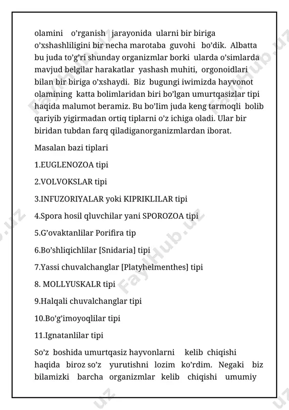 ning soniga baravar blostomerlar hosil boladi. uning vegetativ teshikchasi bolib ular keyinchaklik yo’qolib ketadi va koloniya shar shakllida bolib qoladi. bunday rivojlanayotgan individlarga aylanadi . biz yuqorida bayon qilgan uruglanmasdan yani partenigenez usulida kopayadi. volvikslar orasida ikki jinsli va ayrim jinsli turlari uchraydi . jinsiy ko’payishda urgochi koloniya mokrogonudiylar mikrogonidiylarda kochib otadi . makrogametalar koloniyaning markaziy qismida hosil bo’ladi. natijada hosil bo’lgan zigota qalin po’st bilan qoplanadi va tashqi muhitga chiqadi suvda suzib chiqadi . qulay sharoitda ulardan yangi organizmchalar hosil bo’ladi. u bahorda rivojlanib yangi koloniyani hosil qiladi. yana bitta tip bilan tanishamiz bu tip infuzoriyalar tipi bo’lib bu tip boshqa tiplarda ancha farq qiladi. negaki bu tip hozrgi qadar krltirgan sinflarimizdan tubdan farq qiladi yani tuzilishi bir qancha ulardan murakkabroq. ham morfologik ham fiziologik tomonlama u boshqa sinflardan farq qiladi. infuzoriyalar yok i kipriklilar tipi deb ha ataladi bularning tipik vakili tufelka. u misolida bu sinf vakillar i …