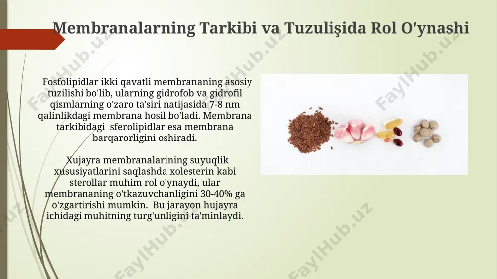 mumkin, bu aqsh tadqiqotlarida ko'rsatilgan. steroidlar: xolesterin va uning hosilalari xolesterin, qon plazmasida 150-250 mg/dl konsentratsiyada bo'lib, hujayra membranalarining tarkibiy qismi hisoblanadi va buyrak usti bezlari, jinsiy bezlar va jigarda sintezlanadi. xolesterin asosida 50 dan ortiq turli steroid gormonlar, masalan, kortizol (buyrak usti bezlari), estrogen (tuxumdonlar) va testosteron (moyaklar) sintezlanadi. xujayra signalizatsiyasi va regulyatsiyasi lipid raftlari deb ataluvchi hujayra membranasining maxsus mikrogʻovakli sohalari, taxminan 50 nm diametrda, signalizatsiya molekulalarining, jumladan, xolesterin va sfingolipidlarning yuqori konsentratsiyasiga ega boʻlib, hujayraning signal qabul qilishini samaradorligini oshiradi. toshkentdagi tadqiqotlar buni tasdiqlaydi. xujayra signalizatsiyasida 7-transmembran retseptorlari, masalan, g-protein bilan bogʻlangan retseptorlar, lipidlarning ikkinchi xabarchilar sifatida ishtiroki, xususan, fosfoinositidlarning parchalanishi natijasida hosil boʻladigan inositol trifosfat (ip3) va diatsilgliserol (dag) kabi moddalar orqali amalga oshiriladi. oddiy saponlashtirilmaydigan lipidlarning ta'rifi sfingolipidlar, masalan, sfingomielin, murakkab tuzilishga ega boʻlib, miyada 25% lipid tarkibini tashkil etadi va nerv impulslarining uzatilishiga muhim rol oʻynaydi. oddiy saponlashtirilmaydigan lipidlar, masalan, steroidlar (xolesterin kabi), 4 …