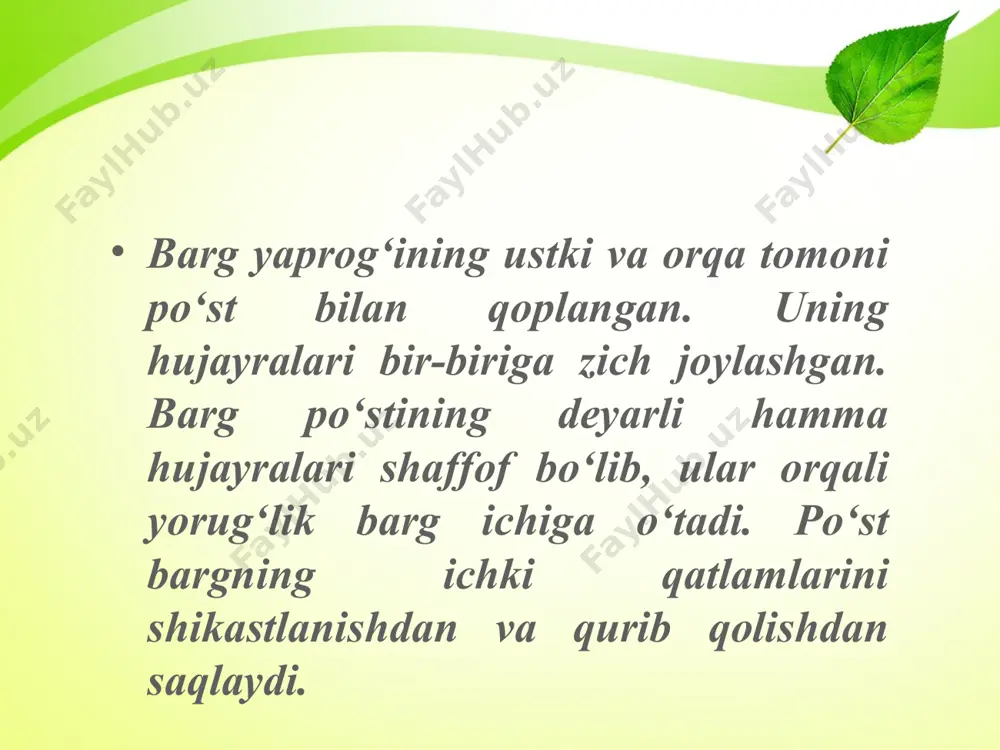 barglarning ichki tuzilishi. 5 - sinf - Page 4