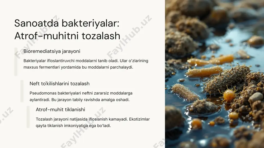 bakteriyalarning sanoat va qishloq ho'jaligidagi ahamiyati - Page 4