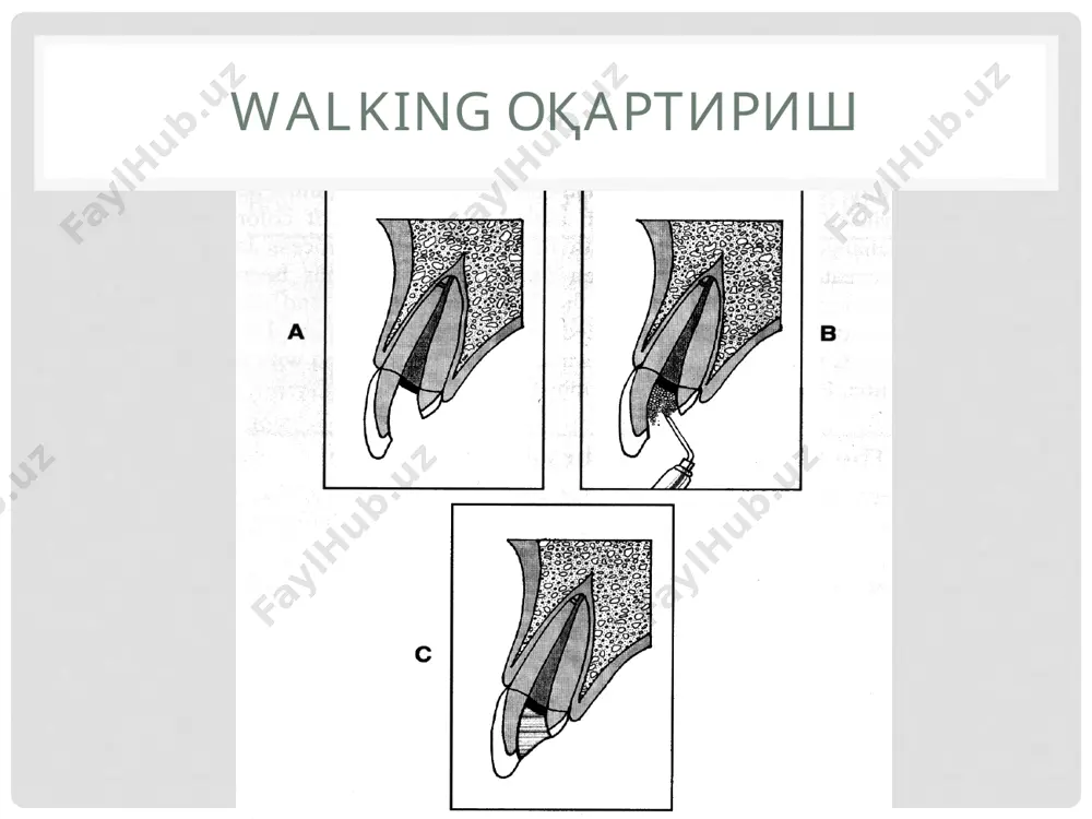 тошкент давлат стоматология институти - Page 4