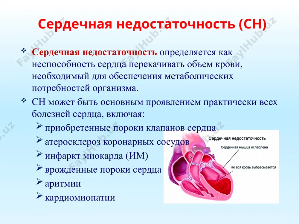 имулирует α- и β1-адренорецепторы (т.к. предшественник норадреналина). оказывает положительное инотропное действие (за счет стимуляции β1-адренорецепторов сердца), которое сочетается с расширением почечных и мезентериальных сосудов (возбуждает дофаминовые рецепторы гладких мышц). применяется при кардиогенном шоке. побочные эффекты: тахикардия, аритмия, чрезмерное повышение периферического сопротивления сосудов и работы сердца добутамин является β1-адреномиметиком. действует более избирательно. применяют для непродолжительной стимуляции сердца при его декомпенсации. побочные эффекты: тахикардия, аритмия, гипертензия и другие. ингибиторы фосфодиэстеразы iii амринон повышает сократительную активность миокарда и вызывает вазодилатацию. применяют при сердечной недостаточности, не поддающейся обычной терапии сердечными гликозидами. часто вызывает побочные эффекты (тромбоцитопению, тошноту, рвоту, желтуху, гипотензию и др.), что ограничивает его применение. милринон аналогичен по структуре и действию. активнее амринона и, по-видимому, не вызывает тромбоцитопению. к негликозидным кардиотоникам относятся также препараты, повышающие чувствительность миофибрилл к ионам кальция: левосимендан (симдакс) – механизм действия: вызывает сенсибилизацию миофибрилл сердца к ионам кальция, обусловленную связыванием препарата с тропонином с увеличивается сила сердечных сокращений без …