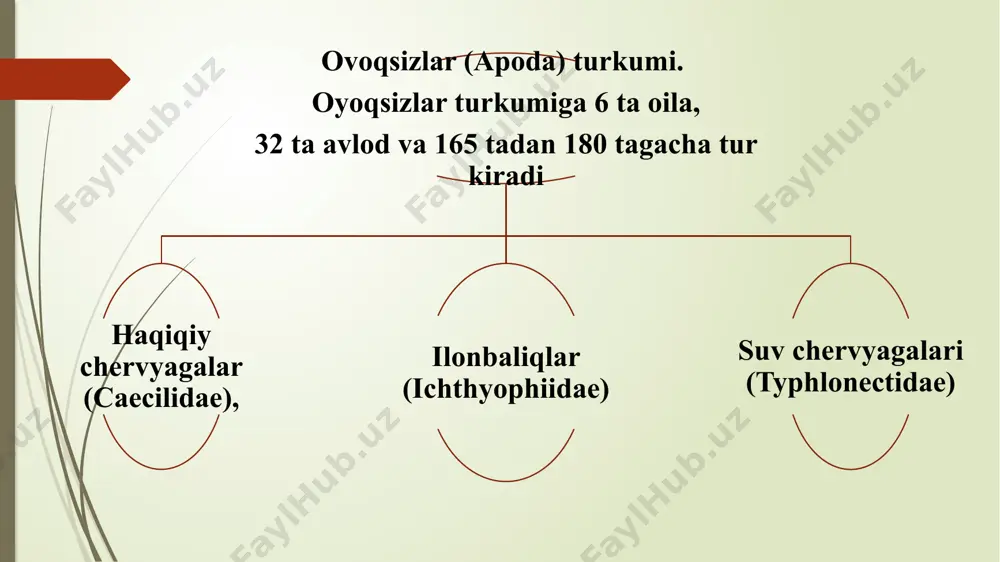 suvda hamda quruqlikda yashovchilar (amphibia) sinfi - Page 5