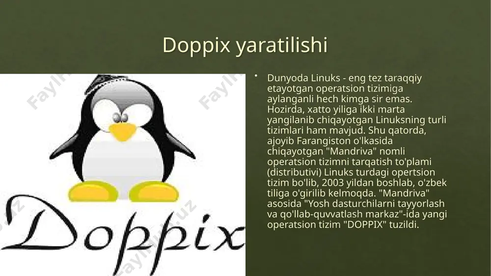 doppix operatsion sistemasi - Page 4