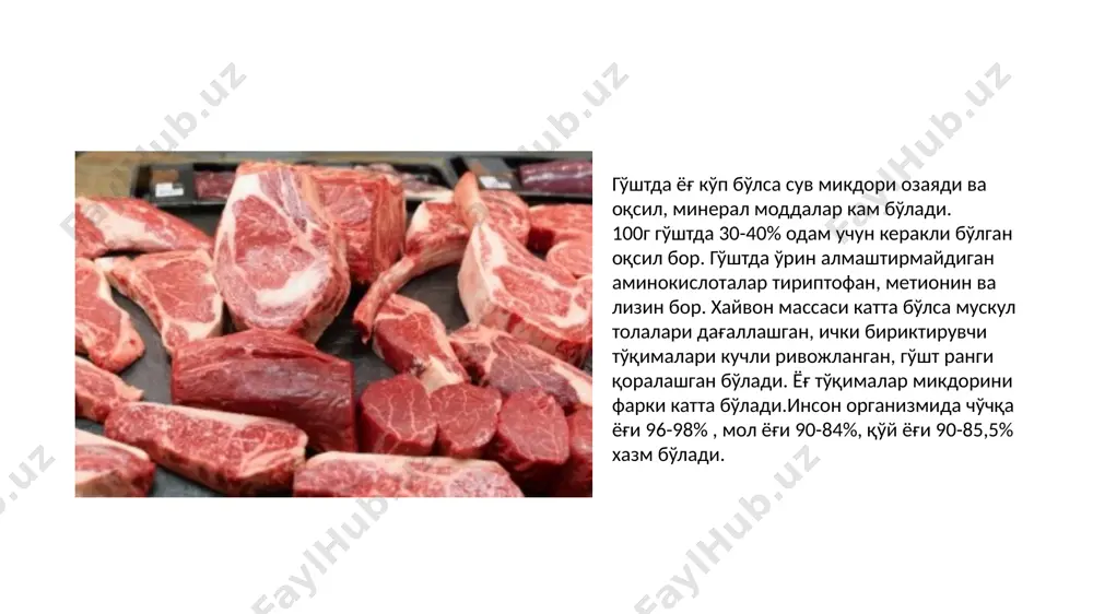 go‘shtning morfologik tuzilishi va kimyoviy tarkibi - Page 4