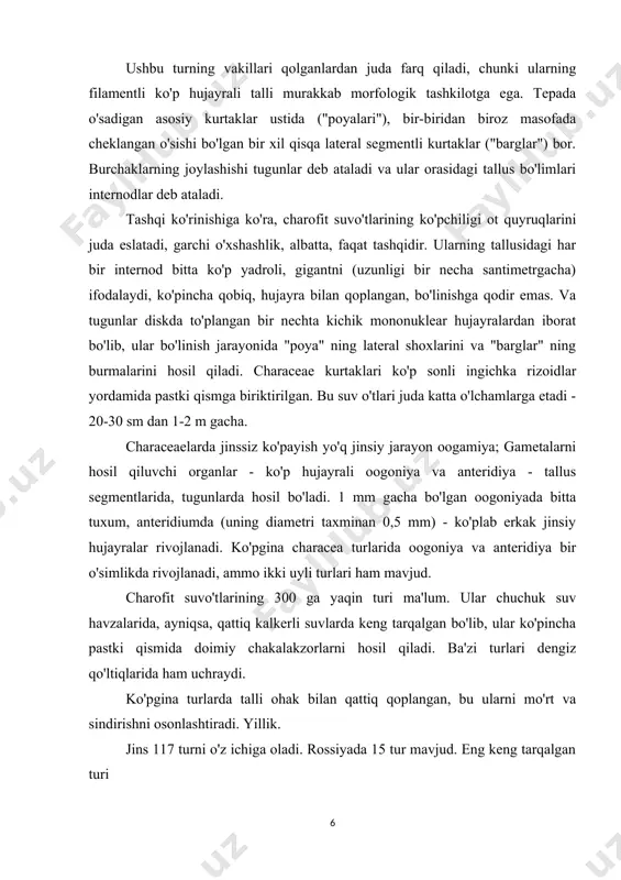 a jinssiz ko'payish yo'q jinsiy jarayon oogamiya; gametalarni hosil qiluvchi organlar - ko'p hujayrali oogoniya va anteridiya - tallus segmentlarida, tugunlarda hosil bo'ladi. 1 mm gacha bo'lgan oogoniyada bitta tuxum, anteridiumda (uning diametri taxminan 0,5 mm) - ko'plab erkak jinsiy hujayralar rivojlanadi. ko'pgina characea turlarida oogoniya va anteridiya bir o'simlikda rivojlanadi, ammo ikki uyli turlari ham mavjud. charofit suvo'tlarining 300 ga yaqin turi ma'lum. ular chuchuk suv havzalarida, ayniqsa, qattiq kalkerli suvlarda keng tarqalgan bo'lib, ular ko'pincha pastki qismida doimiy chakalakzorlarni hosil qiladi. ba'zi turlari dengiz qo'ltiqlarida ham uchraydi. ko'pgina turlarda talli ohak bilan qattiq qoplangan, bu ularni mo'rt va sindirishni osonlashtiradi. yillik. jins 117 turni o'z ichiga oladi. rossiyada 15 tur mavjud. eng keng tarqalgan turi i.bob.1.1. 1-rasm. xara fetid - chara foetida ulva jinsiga mansub dengiz o'tlarining tallusu - 10-12 sm o'lchamdagi gofrirovka qilingan qirralari bo'lgan yorqin xara, ikki qavatli plastinka bo'lib, asosi qisqa petiole ichiga toraygan holda …