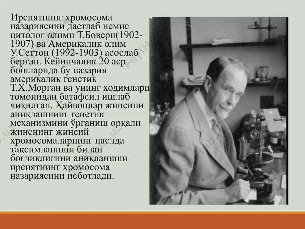 ир. шунинг учун уларда мейоз жараёнидан кейин ҳар хил сперматозоидлар ва бир хил тухум хужайралар хосил бўлади. жинсга боғлиқ генлар жинсий хромосомаларда(х,y) жойлашган генлар оркали наслдан-наслга берилувчи белгилар– жинсга боглик белгилар дейилади. х хромосомага боглик белгилар: далтонизм, гемофилия(рессецив) тиш эмали кунгир (доминант ва бошкалар y хромосомаларга боглик белгилар гипертирехоз, синдактилия жинсни аниклаш жинсни аниқлай олиш мумкин бўлган муддатига кўра организмларни учта гурухга бўлиш мумкин. биринчи гурухга жинсини уларнинг тухум хужайралари уруғланган пайтида аниқлаш мумкин бўлган организмлар кириб (сут эмизувчилар, дрозофила ва хоказо), бунга жинсни аниқлашнинг сингам усули дейилади. иккинчи гурухга жинсини уларнинг тухум хужайралари уруғланганидан кейин, яъни ривожланиш давридагина аниқласа бўлади, бунга жинсий аниқлашнинг эпигам усули дейилади. учинчи гурухга тухум хужайраси оталанмасдан олдин жинсини аниқласа бўладиган организмлар киради. жинсни бундай аниқлаш усулига прогам усули дейилади. бу гурухга кирувчи организмларда (қушлар, капалаклар ва бошкалар) урғочи организм гетерогаметали бўлиб, икки хил тухум хужайрани хосил қилади. эътиборингиз учун рахмат image2.png image3.jpeg image4.jpeg image5.jpeg …