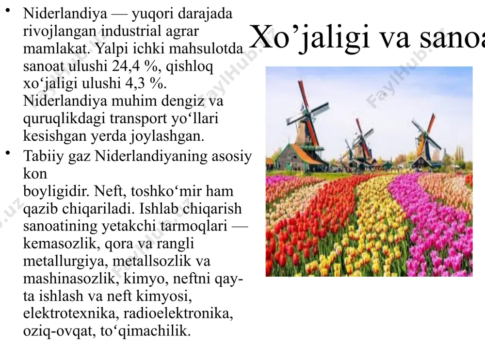 dan tashqari, u marfo b.v. kuzatuv kengashi a'zosi. bundan tashqari, u niderlandiya sanoat va ish beruvchilar konfederatsiyasi boshqaruvi a'zosi. 2014 yil 15 oktyabrda klm royal dutch airlines elbers klm kuzatuv kengashi tomonidan camiel eurlings o'rniga klm prezidenti va bosh ijrochi direktori etib tayinlanganini e'lon qildi.uning lavozimida bo‘lgan vaqtida gollandiya davlati niderlandiya manfaatlarini himoya qilish maqsadida 2019-yilda kompaniyaning 14% ulushini sotib oldi. 2022 yil boshida klm elbers uchinchi muddatga saylanmasligini va 2023 yilning mayigacha iste'foga chiqishini e'lon qildi.2022 yil iyun oyida indigo nafaqaga chiqqan ronojoy dutta o'rniga elbersning yangi bosh direktor etib tayinlanganini e'lon qildi. 2022-yil 6-sentabrda elbers rasmiy ravishda indigo kompaniyasining bosh direktori lavozimini egalladrektori klm. chuck robbins robbins o'z faoliyatini shimoliy karolina milliy bankida dastur ishlab chiqaruvchisi sifatida boshlagan. cisco'da robbins turli lavozimlarni egallagan, jumladan butun dunyo bo'ylab dala operatsiyalari bo'yicha katta vitse-prezidenti, bu rolda u cisconing butunjahon savdo va hamkor tashkilotlariga rahbarlik qilgan va cisco hamkorlik dasturini ishlab …