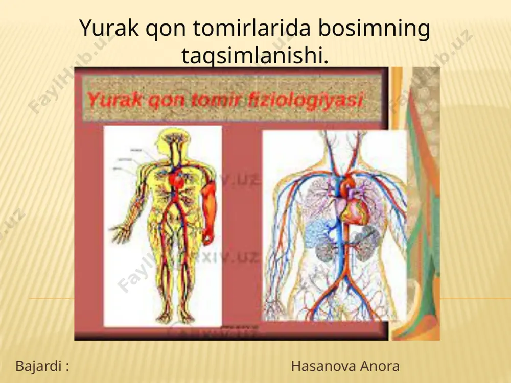 qara boshlaydi va qonni kapillyarlarga haydaydi. qon bosimi asta-sekin pasayadi va diastola oxirida minimal darajaga tushadi (aortada 90 mm simob ustuni, yirik arteriyalarda 70 mm simob ustuni atrofida boʻladi).[1] qon bosimi o’lchovi qon qon aylanish sistemasi qon aylanish sistemasi va uning ahamiyati haqida umumiy tushuncha qon aylanish sistemasiga yurak arteriya, kapillyarlar, vena va limfa tomirlari kiradi. yurak va tomirlar odam organizmida qonning to'xtovsiz harakatlanishini ta'minlaydi. . yurakning avtomatik qisqarib va kengayib turishi natijasida qon katta arteriya va kapillyarlar (mayda qon tomirlari) orqali tananing hamma to'qima hamda hujayralariga tarqalib, so'ngra mayda, o'rta va yirik vena qon tomirlari orqali yurakka qaytib keladi.yurakning chap qorinchasidan tarkibida oziq moddalar, kislorod, gormonlarga boy bo'lgan arterial qon aorta tomiriga quyi¬ladi. undan yirik, o'rta, mayda arteriya tomirlari orqali to'qima va hujayralar orasida joylashgan kapillyarlarga boradi. qondagi oziq moddalar, kislorod va gormonlar hujayralarga o'tadi. hujayralarda moddalar almashinuvi natijasida hosil bo'lgan qoldiq moddalar va karbonat angidrid ulardan mayda vena, …