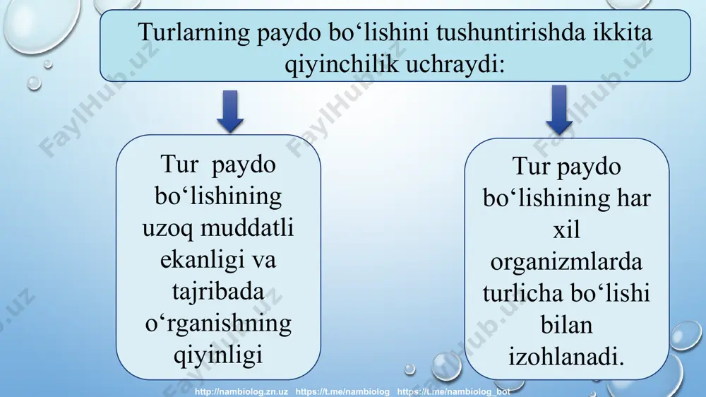 ning noqulay sharoitlariga ko‘proq moslashuvchan bo‘ladi. http://nambiolog.zn.uz https://t.me/nambiolog https://t.me/nambiolog_bot ba’zi bir o‘simlik turlari duragaylash yo‘li bilan paydo bo‘lgan. chunonchi, olxo‘ri olcha bilan tog‘olchaning chatishishidan so‘ng xromo- somalar sonining ikki hissa ortishi natijasida kelib chiqqan. olchada xromosomaning gaploid to‘plami 16, tog‘olchada esa 8, demak, ularda hosil bo‘lgan duragay da xromosomaning gaploid to‘plami 24 ga teng. http://nambiolog.zn.uz https://t.me/nambiolog https://t.me/nambiolog_bot olimlarning ﬁkricha, xromosomaning gaploid to‘plami 13 bo‘lgan herbatseum turini boshqa 13 xromosomali turi bilan o‘zaro chatishib, so‘ng duragay xromosoma to‘plamining ikki hissa ortishi hisobiga 52 xromosoma to‘plamga ega bo‘lgan xirzutum, barbadenze g‘o‘za turlari kelib chiqqan deb faraz qilinadi. http://nambiolog.zn.uz https://t.me/nambiolog https://t.me/nambiolog_bot uyga vazifa darslikdagi berilgan mavzuni o`qib o`rganish, unda uchragan tayanch so`zlarni taxlil qilib, mavzuga oid rasmlarni chizish mavzu so`ngidagi berilgan jadvalni to`ldirib kelish. http://nambiolog.zn.uz https://t.me/nambiolog https://t.me/nambiolog_bot http://nambiolog.zn.uz https://t.me/nambiolog https://t.me/nambiolog_bot