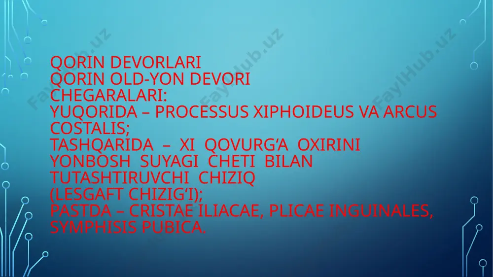 ni shakllantiradi. 6. ko‘ndalang fassiya (fascia transversalis), qorin ichki fassiyasining (fascia endoabdominalis) bir qismi hisoblanadi va qorin old-yon devori muskullarini ichkaridan qoplaydi. 7. qorinparda oldi kletchatkasi (tela subserosa). bu erda a. iliaca externa tarmoqlari – a. epigastrica inferior (kindik tomon yo‘naladi, tashqi kindik burmasini (plica inguinalis lateralis) hosil qiladi; a. circumflexa ilium profunda (yonbosh suyagining yuqorigi oldingi o‘sig‘i tomon yo‘naladi). arteriyalar yonida shu nomdagi venalar joylashadi, ular v. iliaca externa ga quyiladi. qorinparda oldi kletchatkasi ko‘ndalang fassiyani qorinpardaning parietal varag‘idan ajratadi, pastda pufak oldi kletchatkasi bilan bog‘lanadi, orqada qorinparda orti kletchatkasiga davom etadi. qorin old-yon devorining qon bilan ta’minlanishi. 1. yuqorigi qorin usti arteriyasi (a. epigastrica superior) ko‘krak ichki arteriyasidan chiqadi, qorin to‘g‘ri muskuli ortida joylashib kindik sohasiga etib keladi va pastki qorin usti arteriyasi bilan anastomozlashadi. 2. pastki qorin usti arteriyasi (a. epigastrica inferior) tashqi yonbosh arteriyasidan hosil bo‘ladi, tashqi kindik burmasida (plica umbilicalis lateralis) joylashib, qorin to‘g‘ri muskuli …