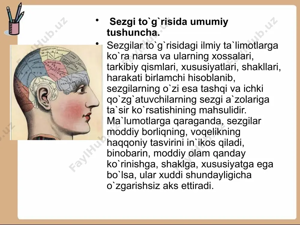 mkin bo’lganda edi, ana shunday shodisani kuzatish imkoni yuzaga kelardi. bu shodisa tovush impulsining ta'siri to’xtaganidan keyin uchraydi shamda tovushning impulsi jadalligi va davomiyligiga boqliq ravishda bir necha sekund mobaynida davom etishi mumkin. xulosa katta yarim sharlarda maxsus neyronlar gurushi borligi tufayli ular turli-tuman qo’zqalishlargina qayta qabul qilish bilan cheklanmay, balki miya po’stloqining piramida shujayralaridan akson orqali keluvchi efferent qo’zqalishlarni sham qabul qiladi. bu esa orqa miya po’stloqosti va po’stloqdagi ko’plab aksonlar neyronlarning vazifasi siklik qo’zqalishni ko’pincha saqlab turish, o’ziga xos "kutish" to’plamini saqlashdan iborat. shu bilan bir vaqtda periferik ishchi a'zolariga yuboriladigan buyruq nusxasini butun miyaga tarqalishini ta'minlaydi. bir neyronning o’zidagi efferent qo’zqalish konvergensiyasi periferik reseptorlardan keluvchi afferent qo’zqalish bilan aksonga uzatilgan buyruq nusshasi olingan natijalarni basholash uchun shart-sharoitlar yaratadi. evolyusiya jarayonida shosil bo’lganligi bilishning neyrodinamik mexanizmlarining kashf etilishi shar qanday bo’lajak shodisalarning tashlil qilinishiga maqsadli omillar oldindan bilishga asos bo’ladi. ko’rish analizatori o’zaro bir-biri bilan aloshida bo’lgan o’tkazuvchan …