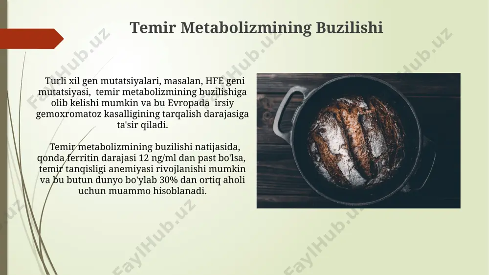 organizmda temir almashinuvi - Page 3
