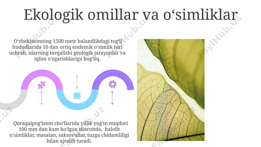 o'simliklar geografiyasi asoslari - Page 5
