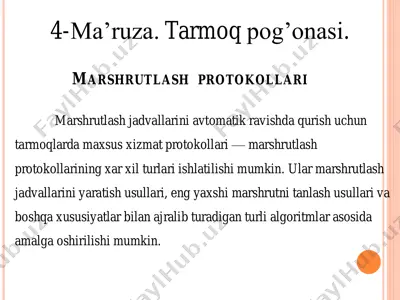 marshrutlash protokollari — PDF
