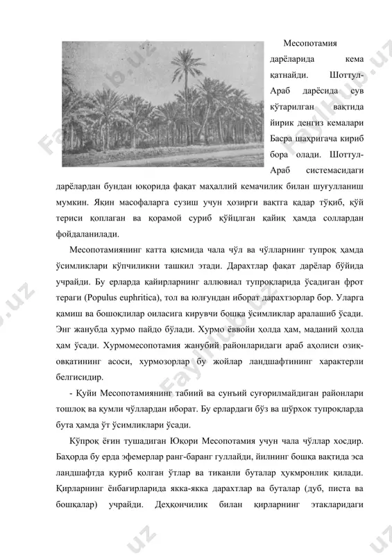 рли белгисидир. - қуйи месопотамиянинг табиий ва сунъий суғорилмайдиган районлари тошлоқ ва қумли чўллардан иборат. бу ерлардаги бўз ва шўрхок тупроқларда бута ҳамда ўт ўсимликлари ўсади. кўпроқ ёғин тушадиган юқори месопотамия учун чала чўллар хосдир. баҳорда бу ерда эфемерлар ранг-баранг гуллайди, йилнинг бошқа вақтида эса ландшафтда қуриб қолган ўтлар ва тиканли буталар ҳукмронлик қилади. қирларнинг ёнбағирларида якка-якка дарахтлар ва буталар (дуб, писта ва бошқалар) учрайди. деҳқончилик билан қирларнинг этакларидаги суғорилмайдиган ерларда ва суғориладиган дарё водийларида шуғулланилади. донли экинлар кўпчиликни ташкил этади. қуруқ сув-айирғич ерларда ярим кўчманчи чорвачилик ривожланган. месопотамияда 30- йиллардан бошлаб пайдо бўлган нефть миноралари, нефть тозалайдиган заводларнинг трубалари юқори месопотамия, хузистон, ёки қувайт чўлларида ўзига хос ландшафт манзарасини вужудга келтирган. еввойи ҳайвонлари қўшни ўлкалар ҳайвонларига ўхшайди. дарёлар бўйидаги сув босадиган тўқайлар сув қушларининг кўплиги билан кишини ҳайратда қолдиради. бундай жойларда тўнғиз ҳам яшайди. очиқ чўл жойларда кемирувчилар, судралиб юрувчилар, бўғимоёқлилар кўп. йирик сутэмизувчилардан ғизол, ёввойи эшак, чиябўри, сиртлон, …