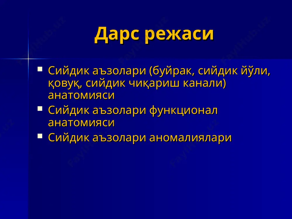 сийдик чиқарув аъзоларининг анатомияси - Page 2