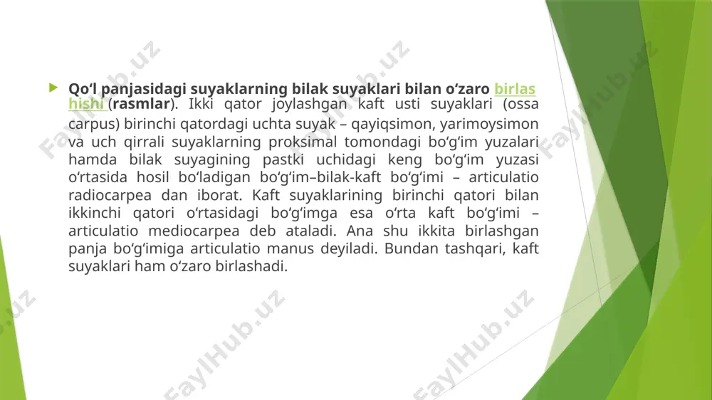 adi. ikkinchi boylam – ligamentum radiocarpeum dorsale panjaning orqa tomonida turadi. articulatio mediocarpea – ustki qatordagi uchta suyak (no‘xatsimon suyak kirmaydi) bilan ikkinchi qatordagi to‘rtta kaft usti suyaklari o‘rtasida hosil bo‘ladi. ikkinchi qatordagi suyaklar ham bir-biri bilan ligamentum intercarpea interossea vositasida qo‘shilgan. lekin bu boylamlar tarang tortilmaganligi sababli suyaklar bir-biriga uncha yaqin kelmaydi. ligamenta intercarpea palmaria et dorsalia deb ataluvchi boylamlar ko‘ndalangiga va qiyig‘iga kaft usti suyaklarining biridan ikkinchisiga tortilgan bo‘lib, o‘sha ikkita qo‘shiluvchi suyaklarning nomi bilan ataladi. bundan tashqari, kaft tomondagi bitta boylam boshli suyak (ligamentum carpi radiatum) dan boshlanib, shu’la singari qo‘shni suyaklarga taraladi. no‘xatsimon suyak uch qirrali suyak bilan qo‘shilib, articulatio ossis pisiformis ni hosil qiladi. no‘xatsimon suyakdan boshlanuvchi ikki boylamning biri (haqiqiy boylam) ilmoqli suyakka yopishgani uchun ligamentum pisohamatum deb ataladi, ikkinchisi esa iii, iv va v kaft suyaklarining (ligamentum pisometacarpeum) proksimal uchlariga yopishgan. bilak suyagi bilan kaft usti suyaklari o‘rtasidagi harakatlar frontal va sagittal o‘qlar …