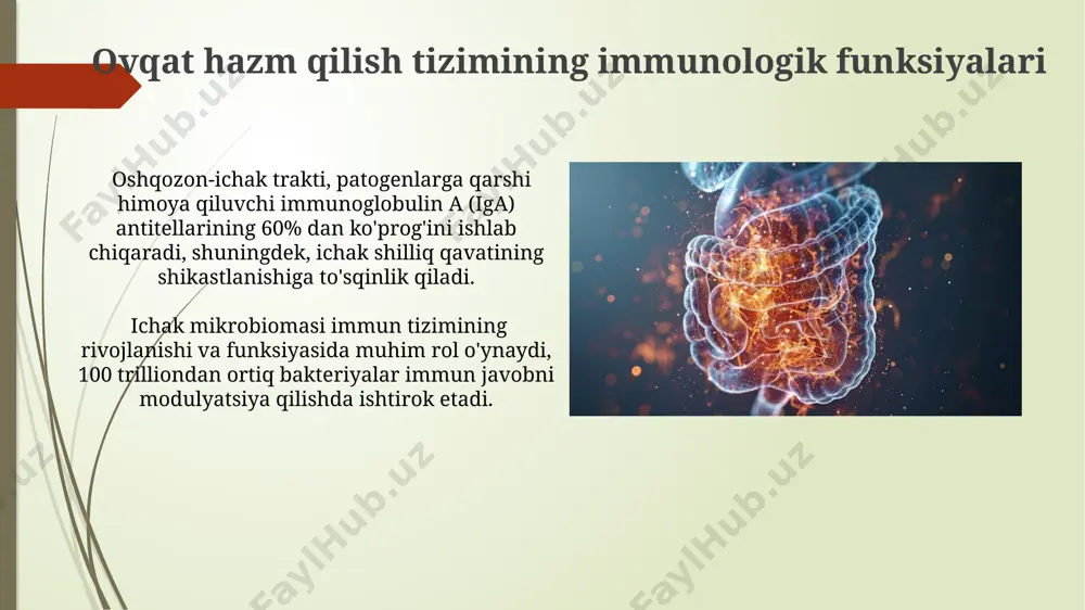 meda ichak traktining hazm qilishga oid bo‘lmagan funksiyalari - Page 4